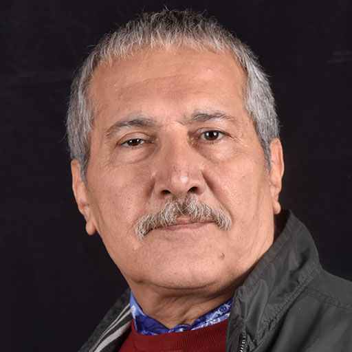 شاهرخ فروتنیان