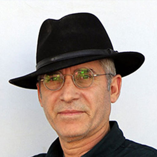 محسن شاه ابراهیمی