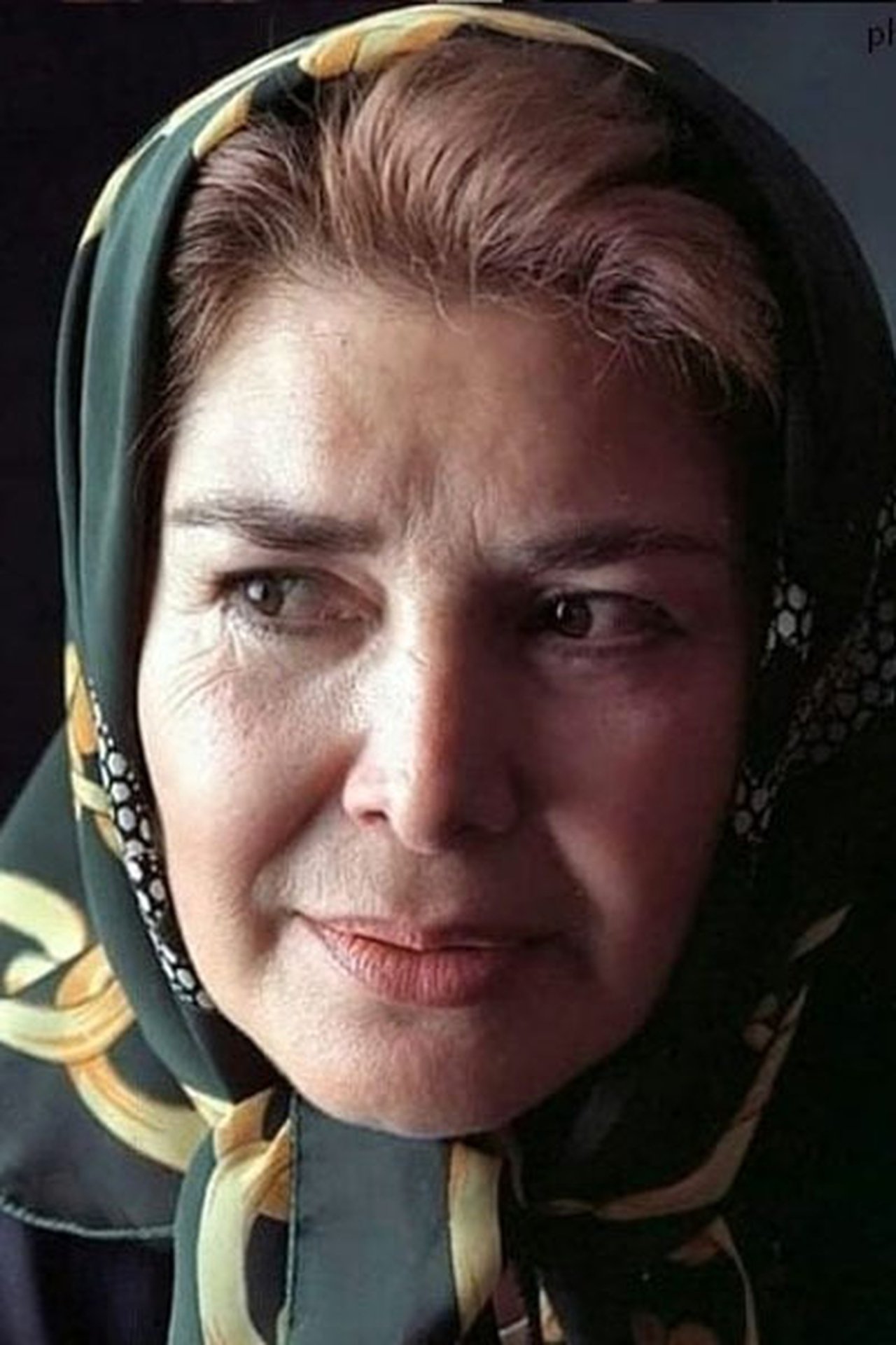 آفرین عبیسی