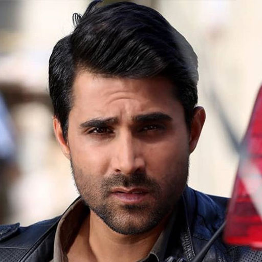 سیاوش گرجستانی