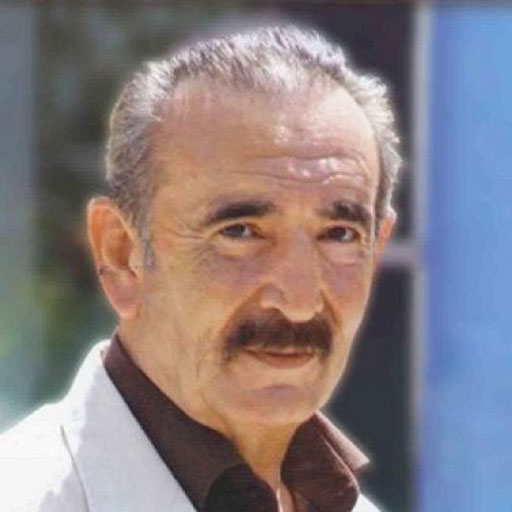 بیوک میرزایی