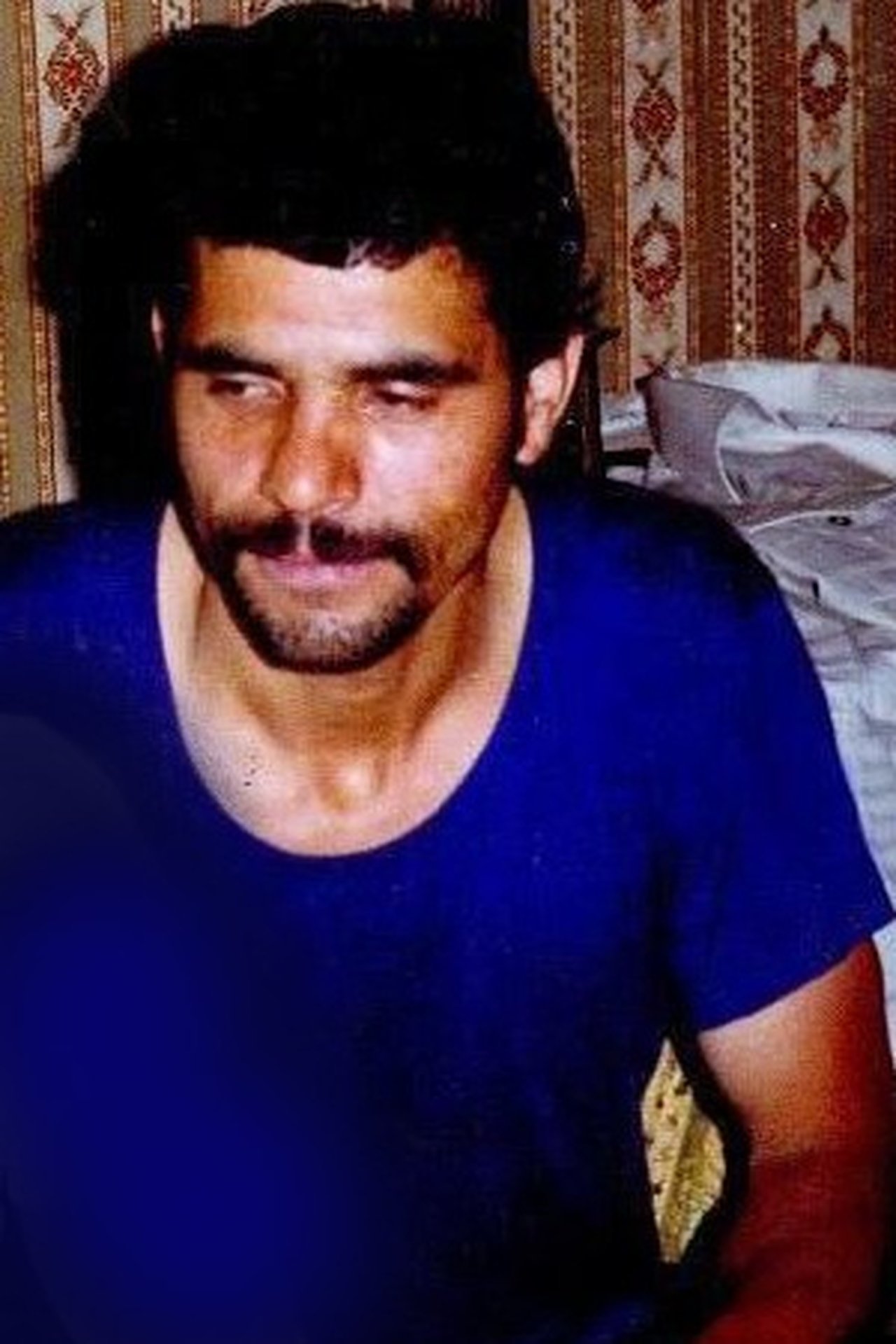 محمدولی احمدلو